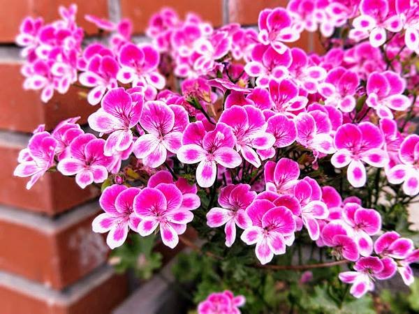 IMG20190518160349.jpg