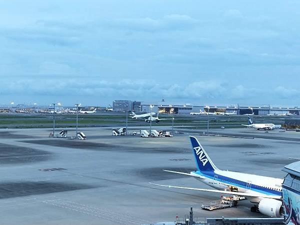 IMG20190718185516.jpg