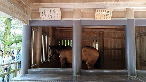 2024 07 伊勢神宮奉納全国花火大會、伊勢神宮、二見興玉