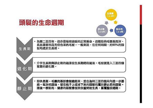 頭髮的生長週期