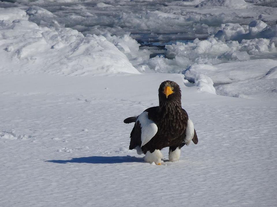 4011.jpg