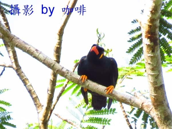 04016.jpg