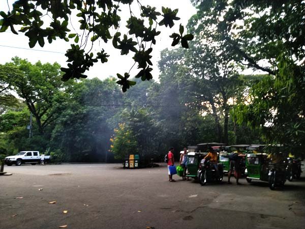 08001.jpg