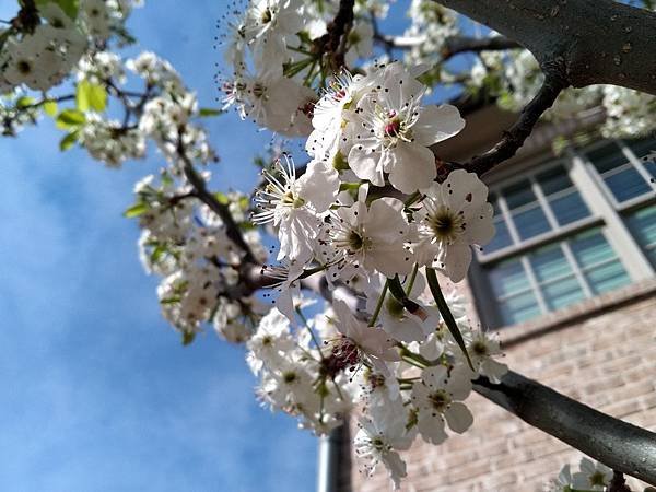 P_20190322_110944.jpg