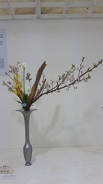 20150322_095225.jpg