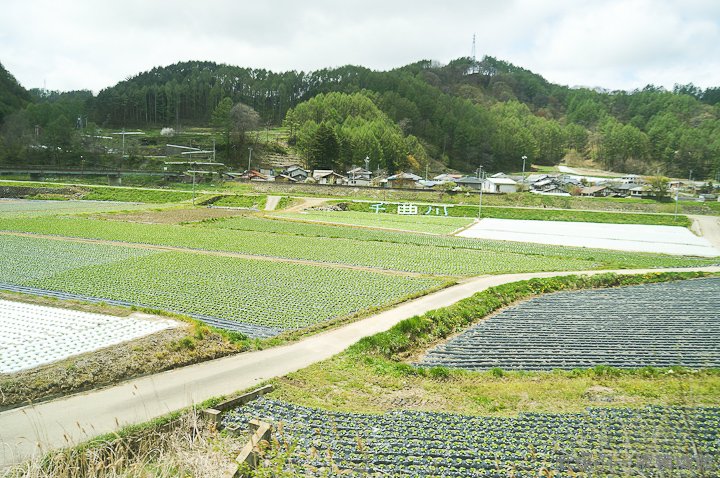 20120512日本第二天377-2-2