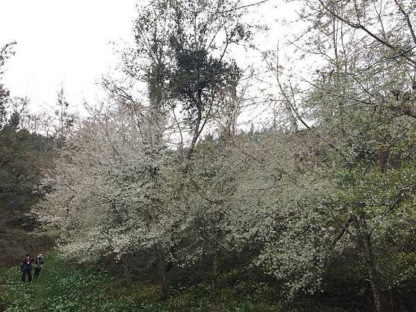 IMG_1889.JPG