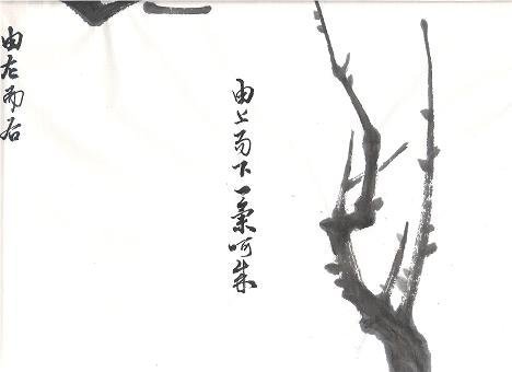 ap_F23_20091027064341628.jpg