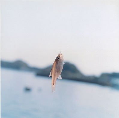 untitled (from the series ‘aila’, 2004)，© rinko kawauchi