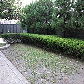 IMG_1015