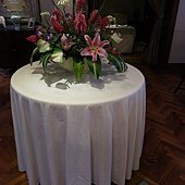 IMG_0950