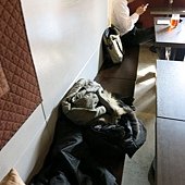 IMG_1440
