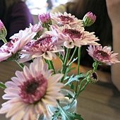 IMG_1442