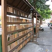 IMG_1551