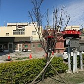 IMG_2702