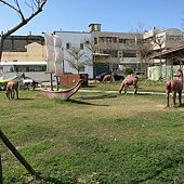 IMG_2686