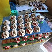 IMG_2715