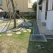 IMG_2747