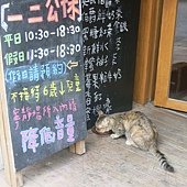 IMG_4460