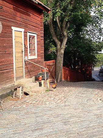 IMG_3908