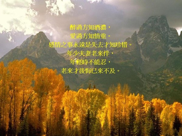 投影片10.JPG