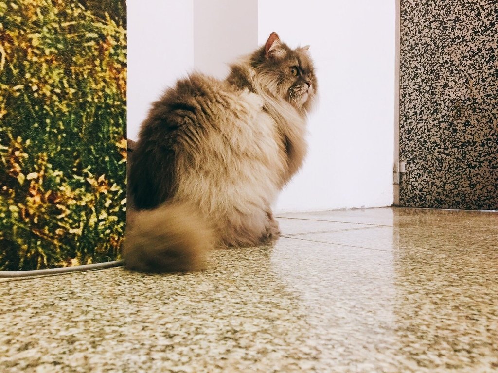 S__7479316