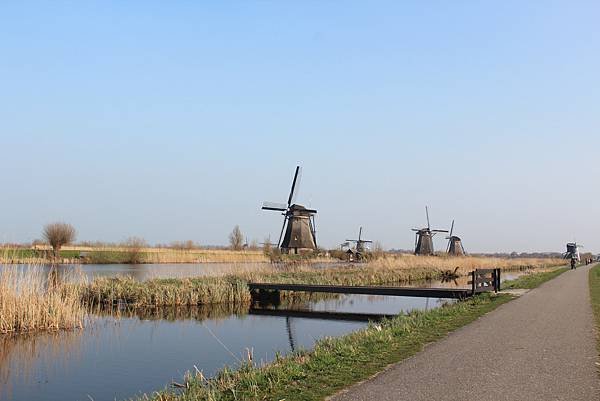 IMG_6289