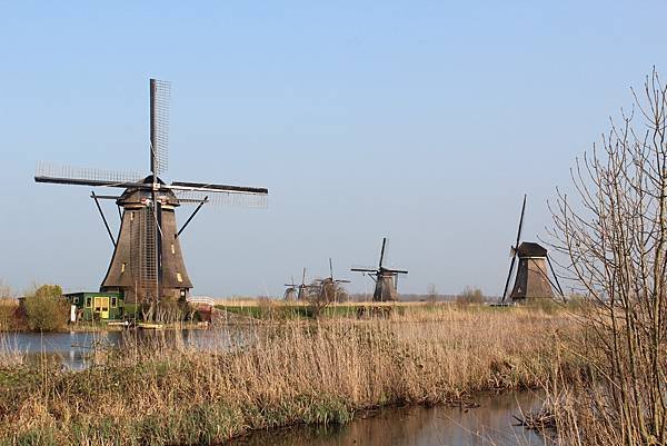 IMG_6316