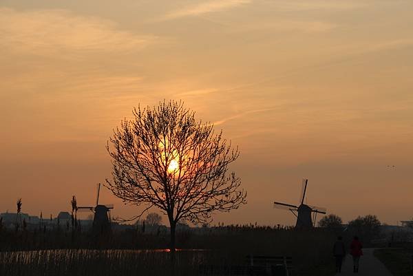 IMG_6369