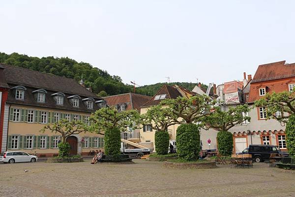 IMG_2172.jpg