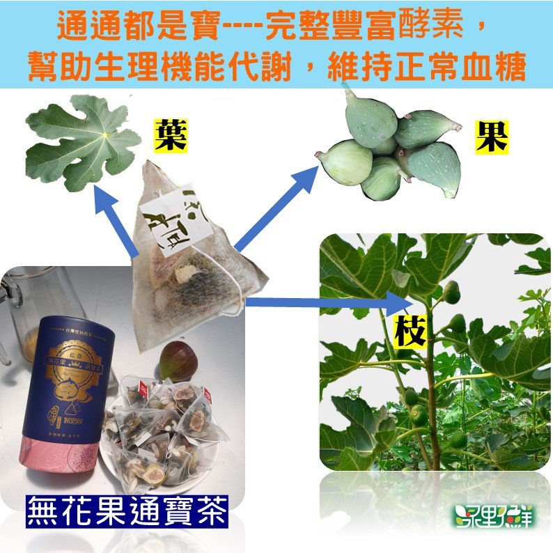 無花果茶枝果葉成分.jpg