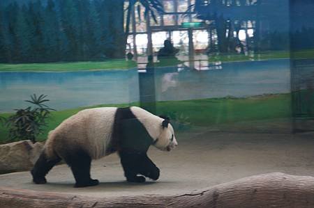 taipei zoo 5