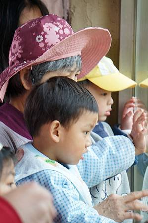 taipei zoo 24