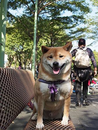 2014.01.11新莊運動公園踏青去3