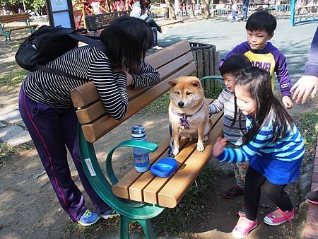 2014.01.11新莊運動公園踏青去10