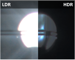 lh