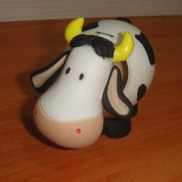 cow.jpg