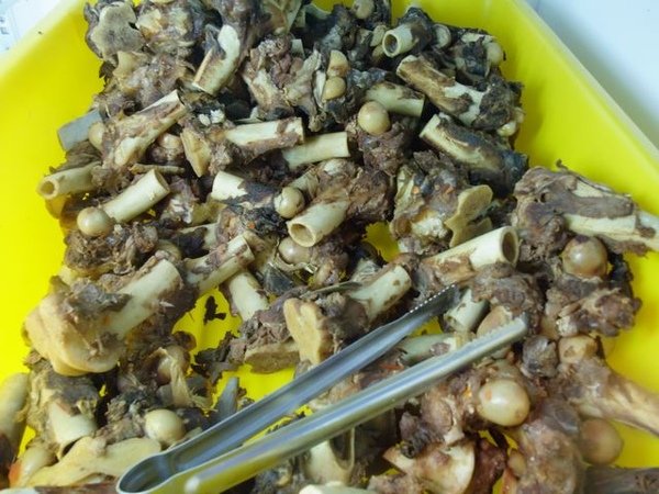 羊大骨近照.JPG