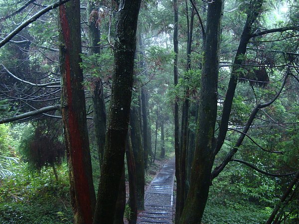 DSC10057.JPG