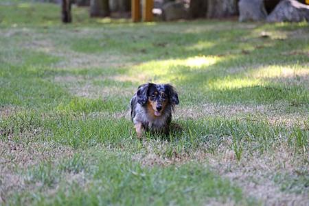 IMG_9038.JPG