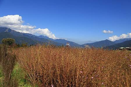 IMG_9595.JPG