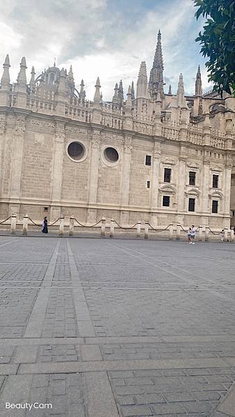 S__107348013.jpg
