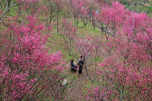 IMG_0400_副本