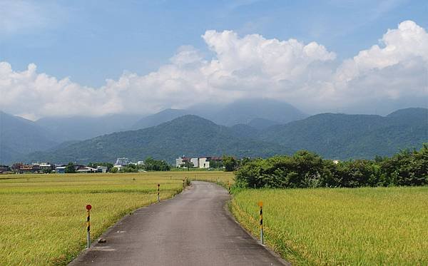 SAM_0310_副本