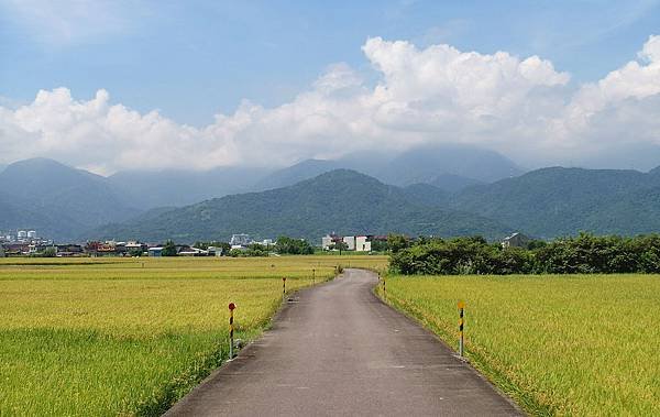 SAM_0308_副本