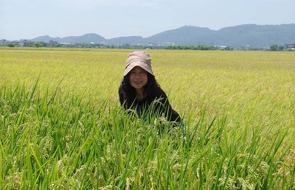 SAM_0259_副本