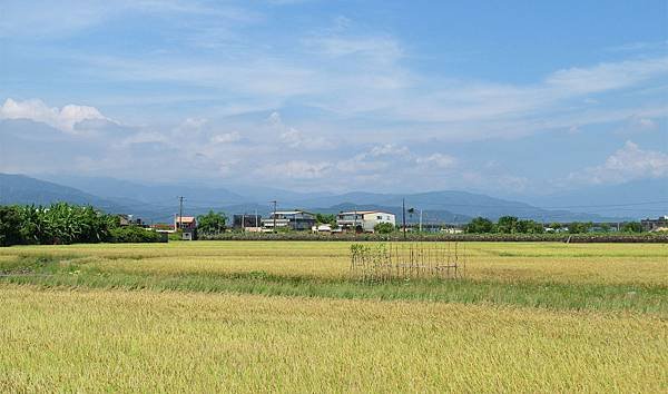 SAM_0290_副本