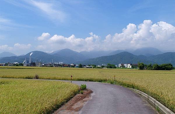 SAM_0251_副本