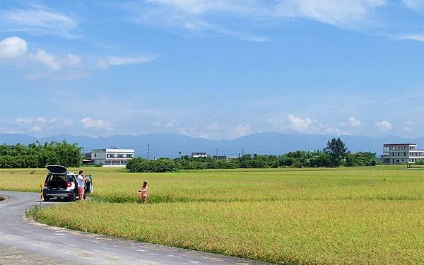 SAM_0237_副本