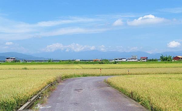SAM_0238_副本